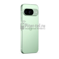 Смартфон Google Pixel 9 12/128Gb Global Wintergreen