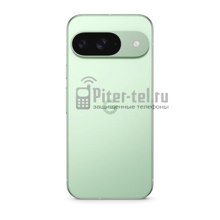 Смартфон Google Pixel 9 12/256Gb Global Wintergreen